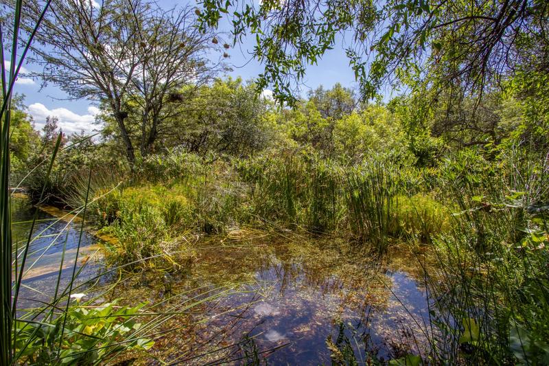 2 Bedroom Property for Sale in Blue Hills Country Estate Gauteng