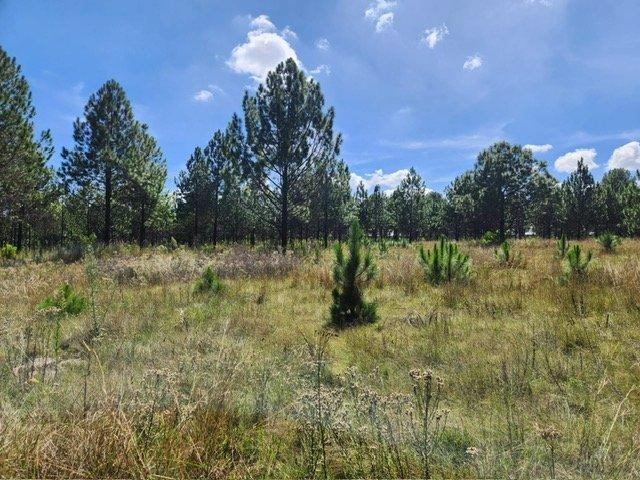 0 Bedroom Property for Sale in Rietfontein A H Gauteng