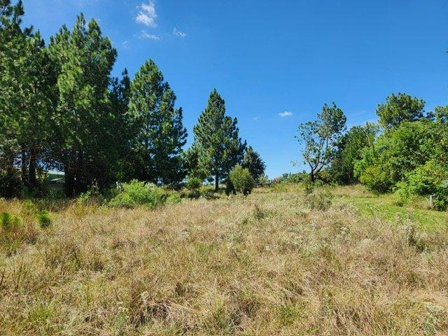 0 Bedroom Property for Sale in Rietfontein A H Gauteng