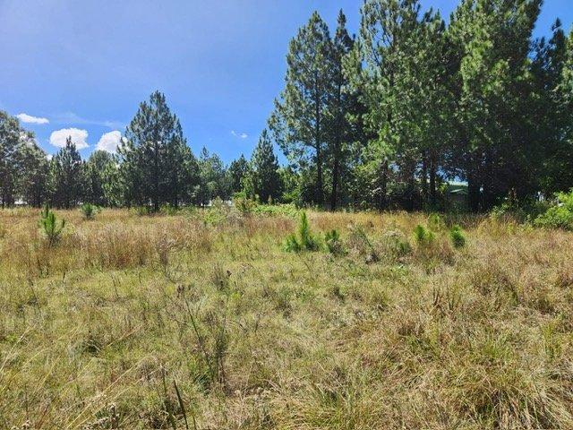 0 Bedroom Property for Sale in Rietfontein A H Gauteng