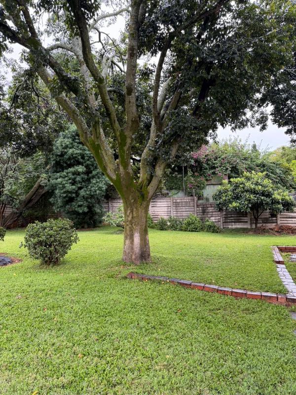 3 Bedroom Property for Sale in Sunnyside Gauteng