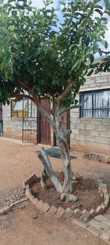 5 Bedroom Property for Sale in Ivory Park Gauteng