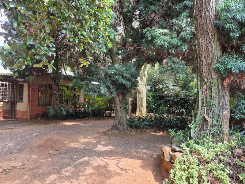 To Let commercial Property for Rent in Menlo Park Gauteng