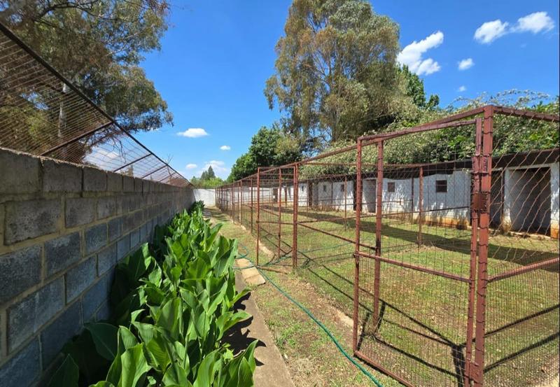 10 Bedroom Property for Sale in Walkerville Gauteng