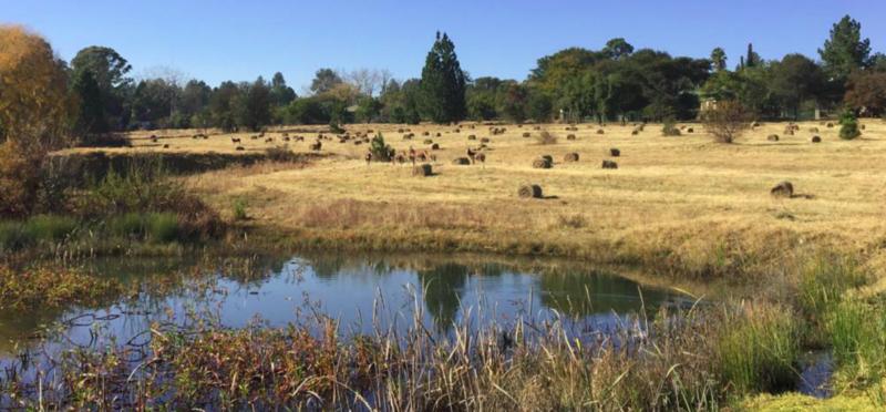 3 Bedroom Property for Sale in Zonnehoewe A H Gauteng