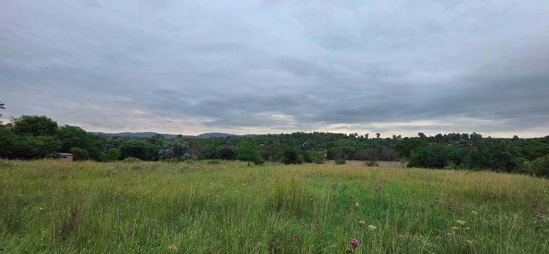 0 Bedroom Property for Sale in Zonnehoewe A H Gauteng