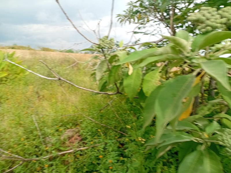 0 Bedroom Property for Sale in Lenasia Gauteng