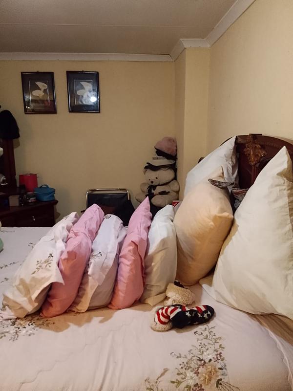 3 Bedroom Property for Sale in Lenasia Gauteng