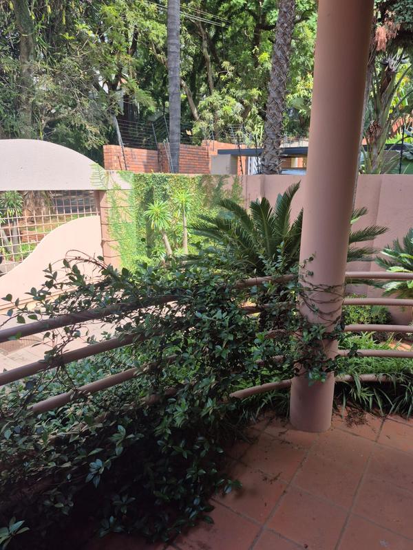 To Let 6 Bedroom Property for Rent in Muckleneuk Gauteng