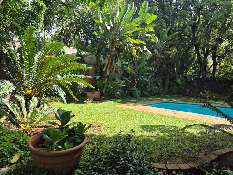 To Let 6 Bedroom Property for Rent in Muckleneuk Gauteng