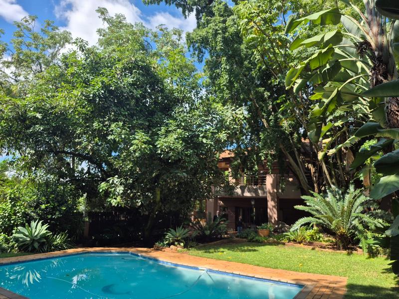 To Let 6 Bedroom Property for Rent in Muckleneuk Gauteng