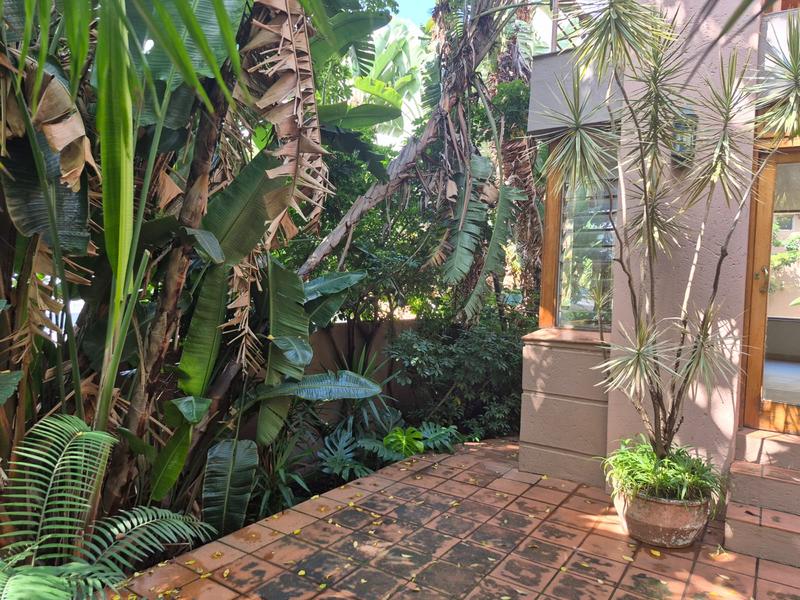 To Let 6 Bedroom Property for Rent in Muckleneuk Gauteng