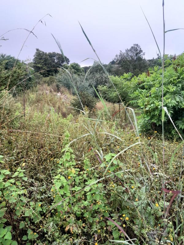 0 Bedroom Property for Sale in Wilro Park Gauteng