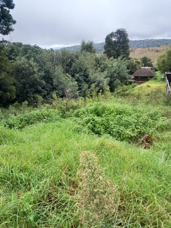 0 Bedroom Property for Sale in Wilro Park Gauteng