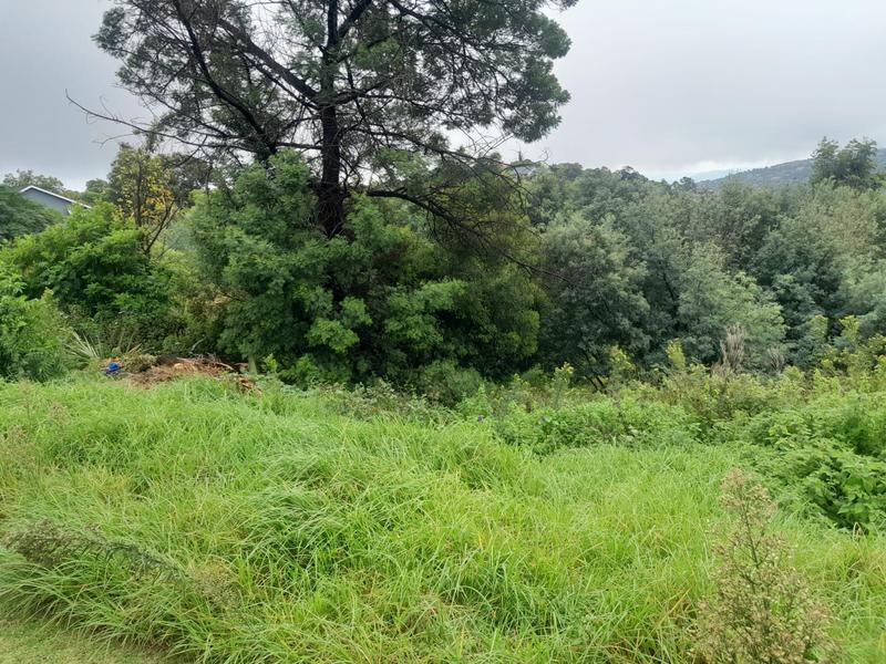 0 Bedroom Property for Sale in Wilro Park Gauteng