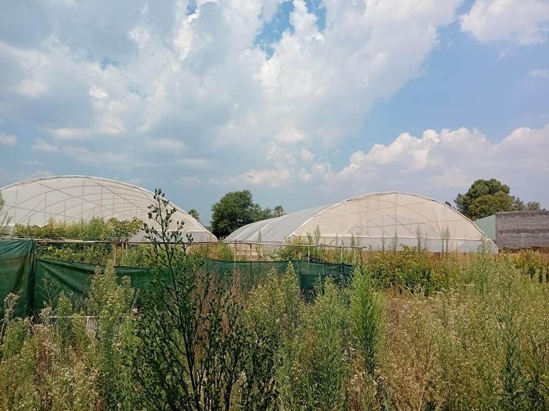 3 Bedroom Property for Sale in Randfontein Gauteng