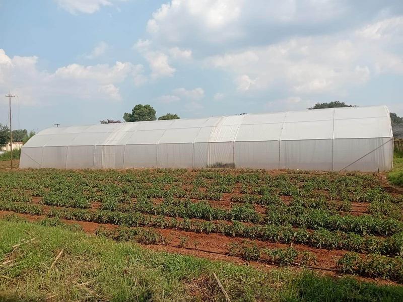 3 Bedroom Property for Sale in Randfontein Gauteng