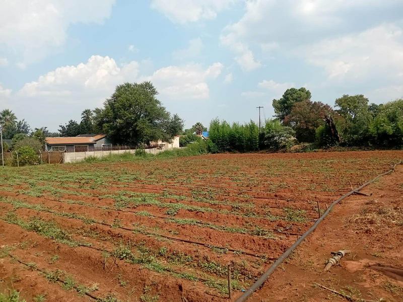 3 Bedroom Property for Sale in Randfontein Gauteng