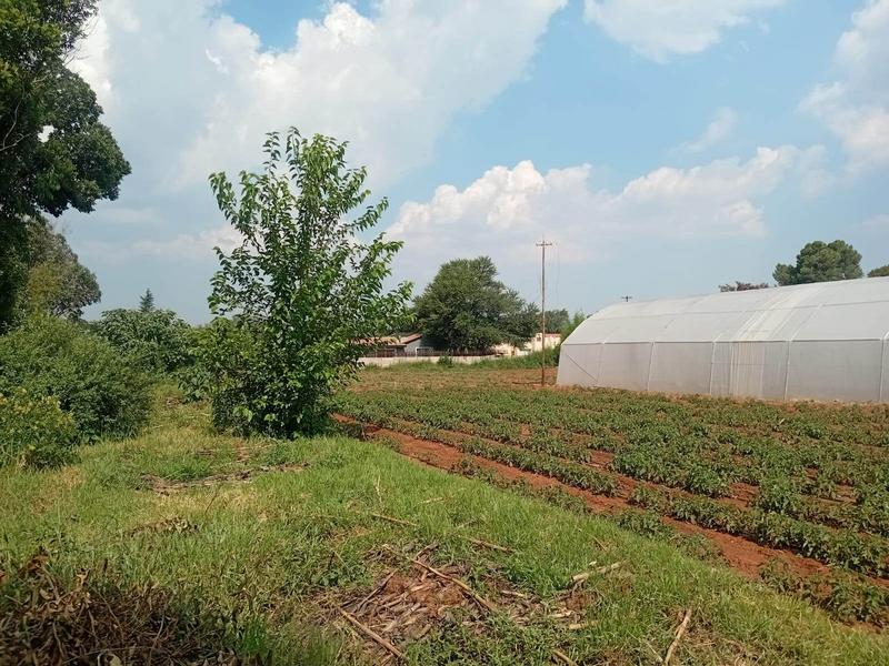 3 Bedroom Property for Sale in Randfontein Gauteng