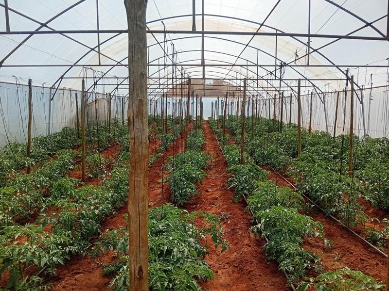 3 Bedroom Property for Sale in Randfontein Gauteng