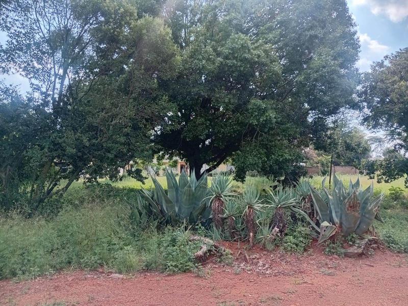 3 Bedroom Property for Sale in Randfontein Gauteng