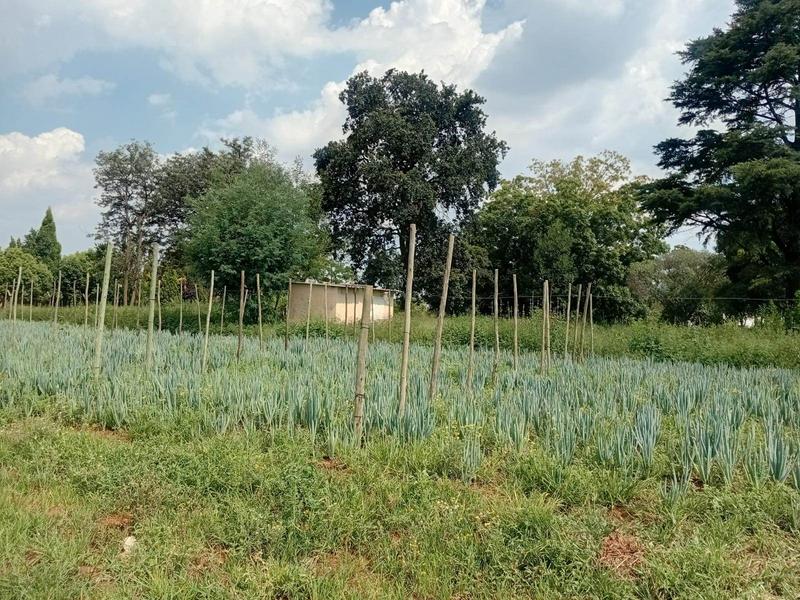 3 Bedroom Property for Sale in Randfontein Gauteng