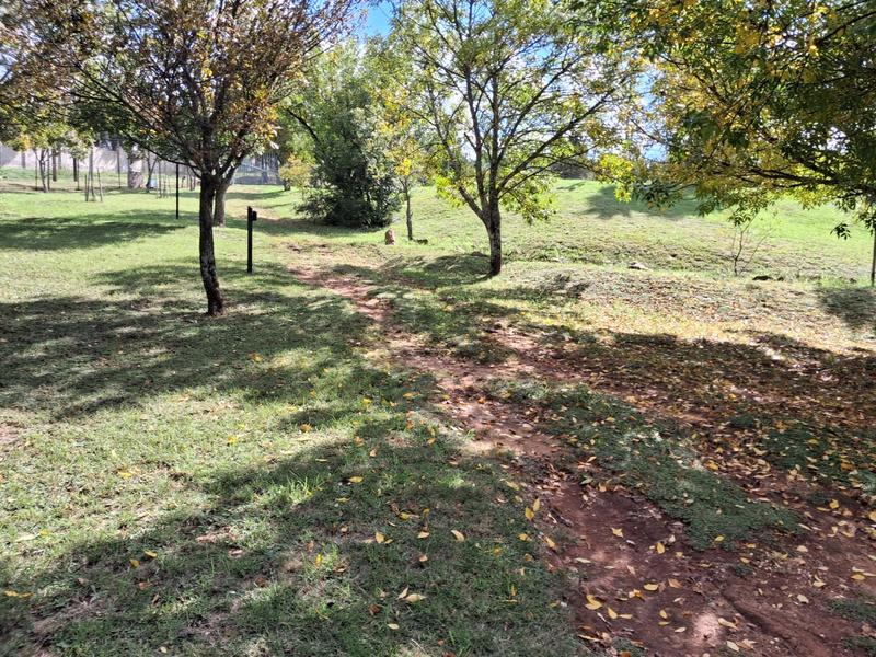 To Let 8 Bedroom Property for Rent in Ruimsig Gauteng