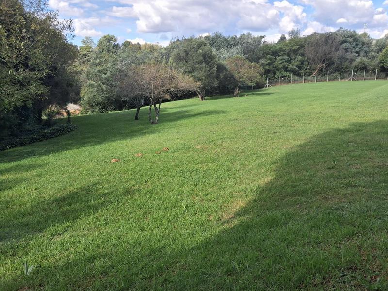 To Let 8 Bedroom Property for Rent in Ruimsig Gauteng