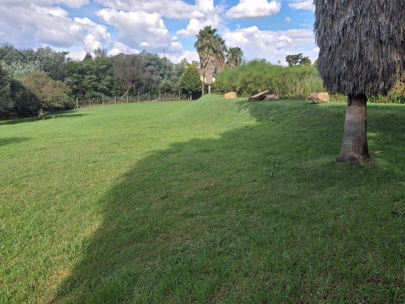 To Let 8 Bedroom Property for Rent in Ruimsig Gauteng