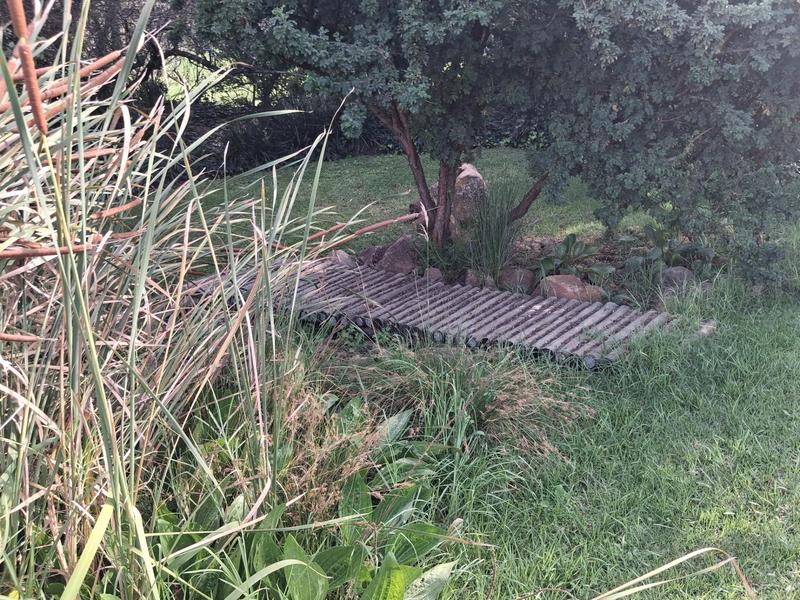 To Let 8 Bedroom Property for Rent in Ruimsig Gauteng