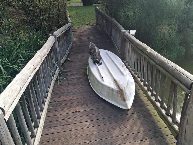 To Let 8 Bedroom Property for Rent in Ruimsig Gauteng