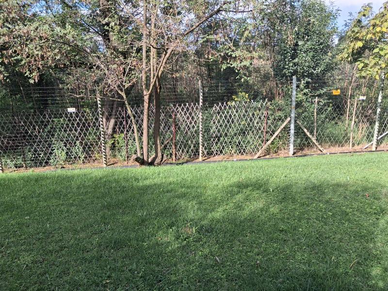 To Let 8 Bedroom Property for Rent in Ruimsig Gauteng