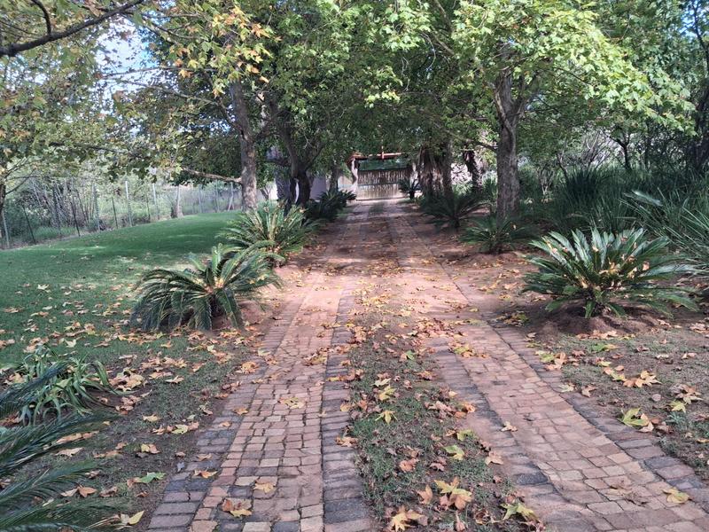 To Let 8 Bedroom Property for Rent in Ruimsig Gauteng