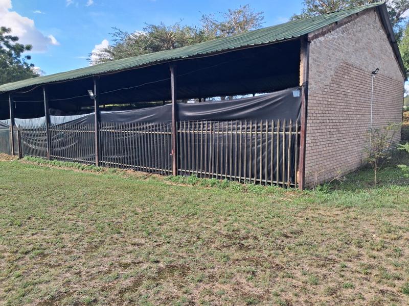 To Let 8 Bedroom Property for Rent in Ruimsig Gauteng