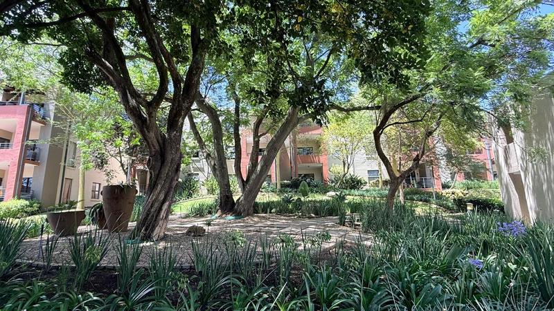 To Let 2 Bedroom Property for Rent in Mill Hill Gauteng