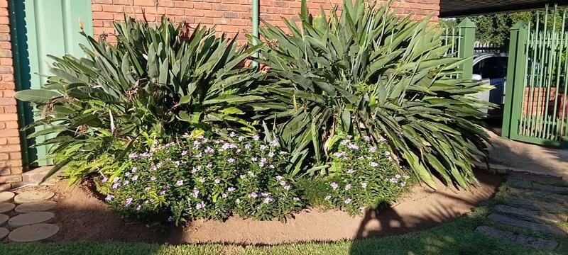 3 Bedroom Property for Sale in Dorandia Gauteng