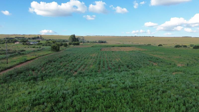 3 Bedroom Property for Sale in Westonaria Gauteng