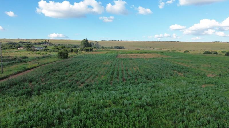 3 Bedroom Property for Sale in Westonaria Gauteng