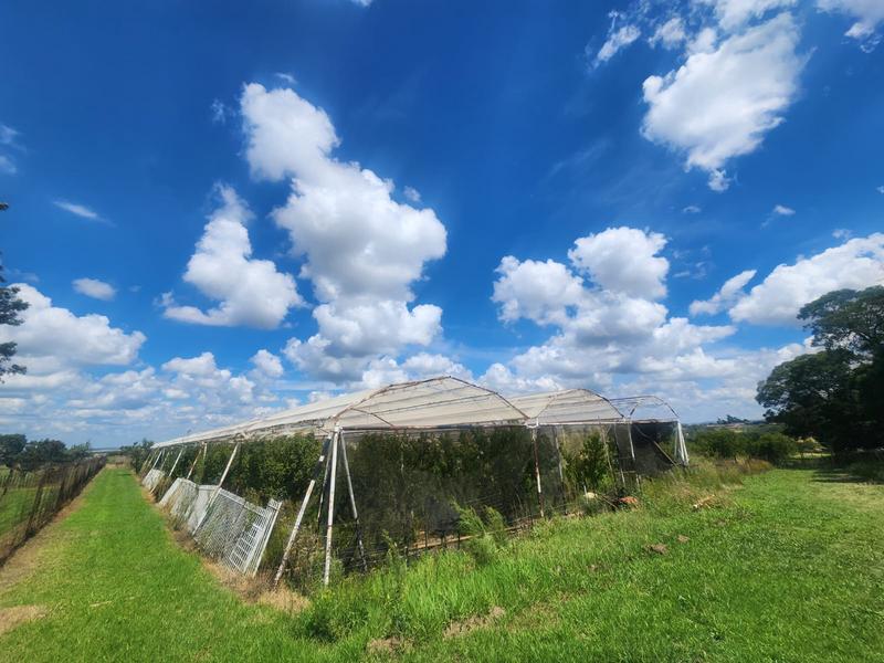 3 Bedroom Property for Sale in Westonaria Gauteng