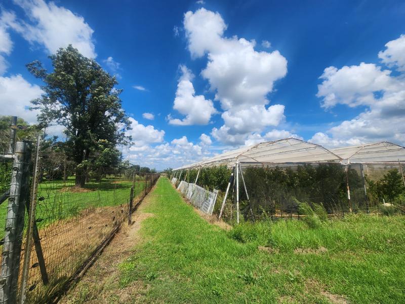 3 Bedroom Property for Sale in Westonaria Gauteng