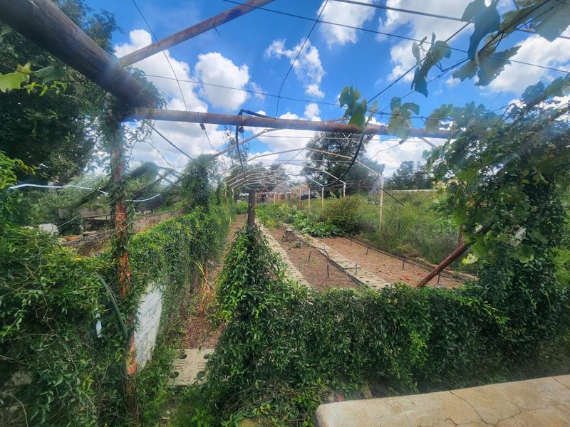 3 Bedroom Property for Sale in Westonaria Gauteng
