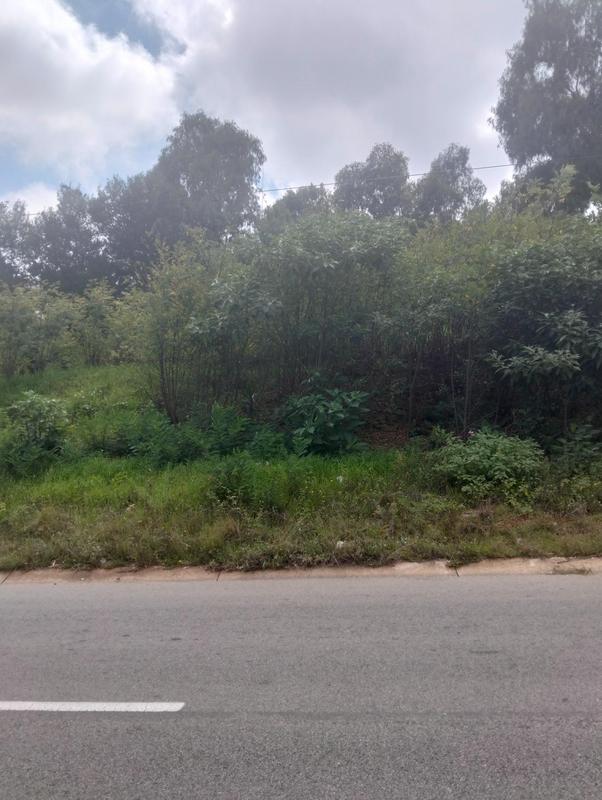 0 Bedroom Property for Sale in Roodekrans Gauteng