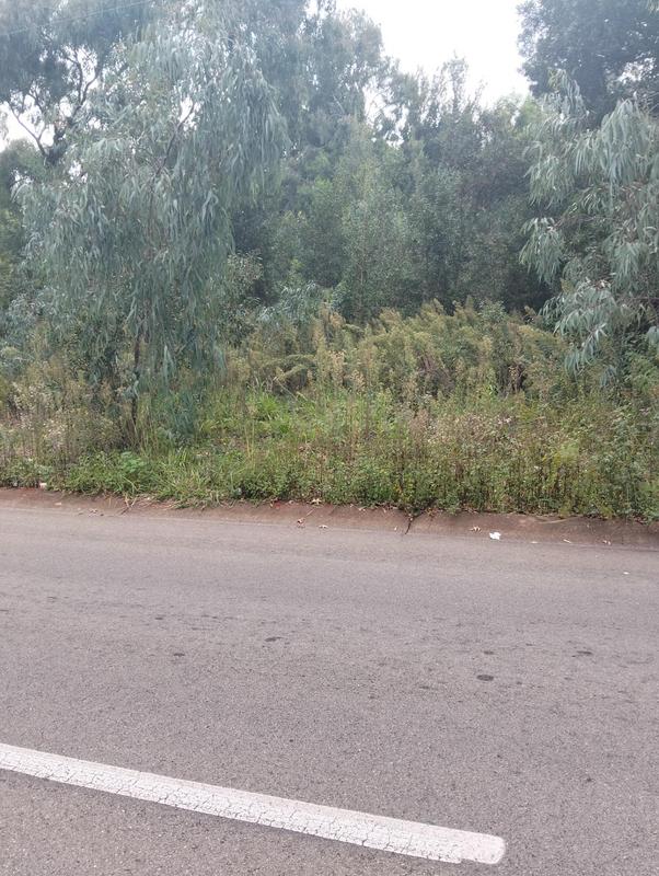 0 Bedroom Property for Sale in Roodekrans Gauteng