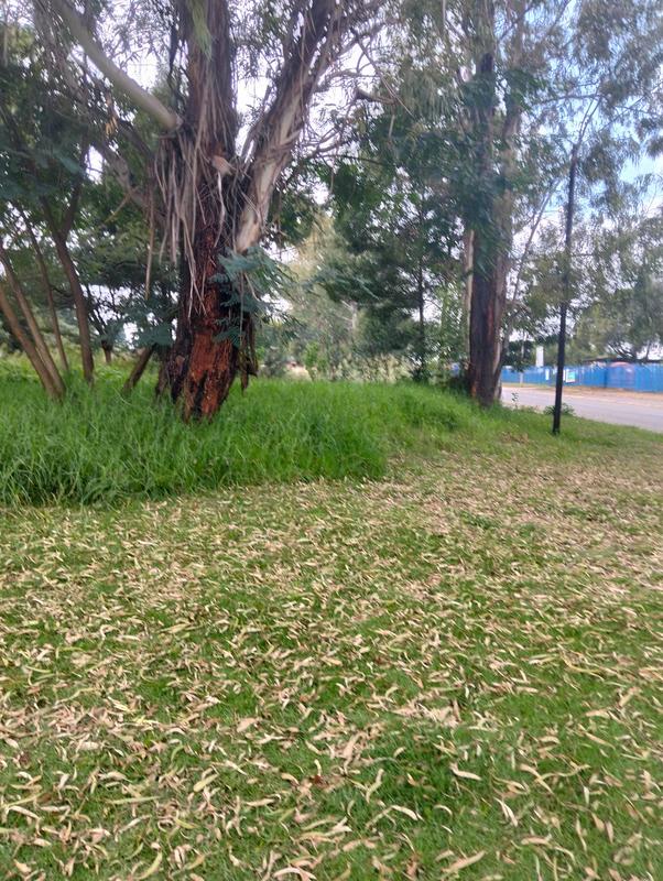 0 Bedroom Property for Sale in Roodekrans Gauteng