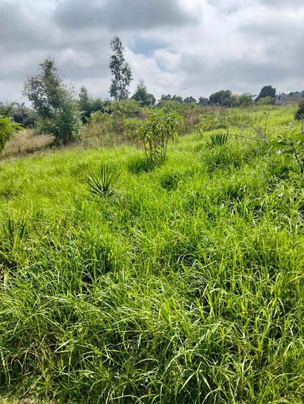 0 Bedroom Property for Sale in Roodekrans Gauteng