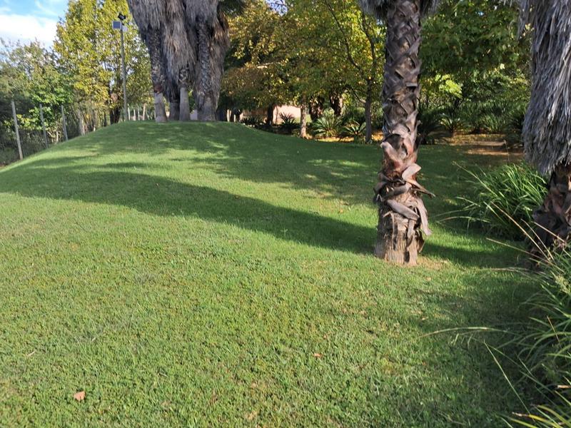 To Let 6 Bedroom Property for Rent in Ruimsig Gauteng