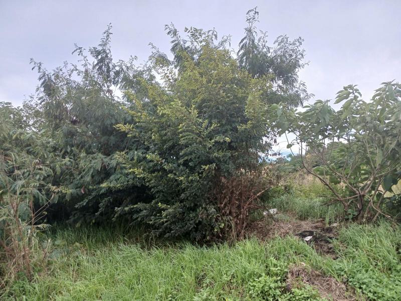 0 Bedroom Property for Sale in Zakariyya Park Gauteng