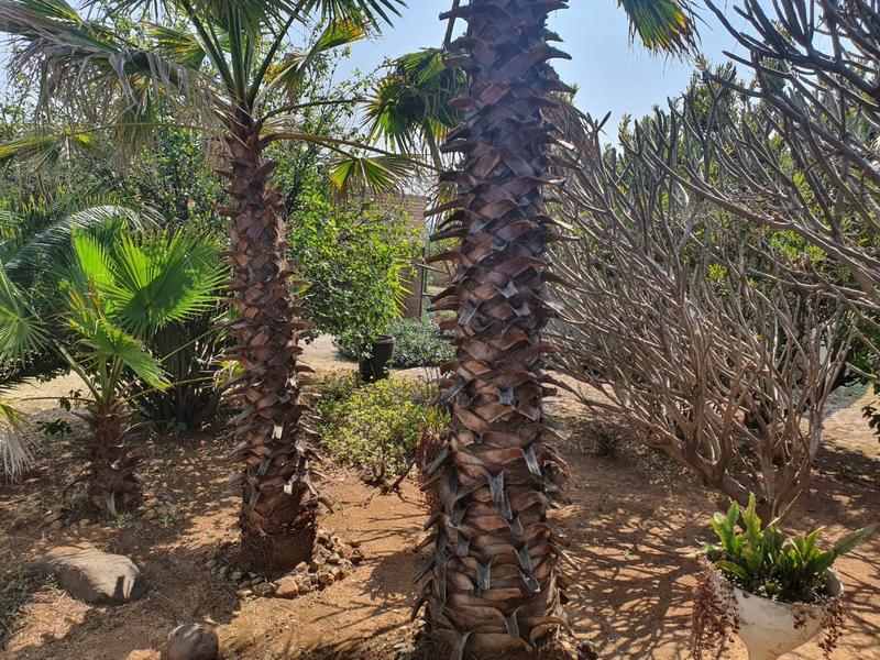 2 Bedroom Property for Sale in Krugersdorp Gauteng