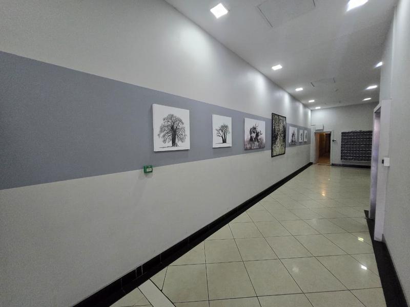 To Let 0 Bedroom Property for Rent in Marshalltown Gauteng