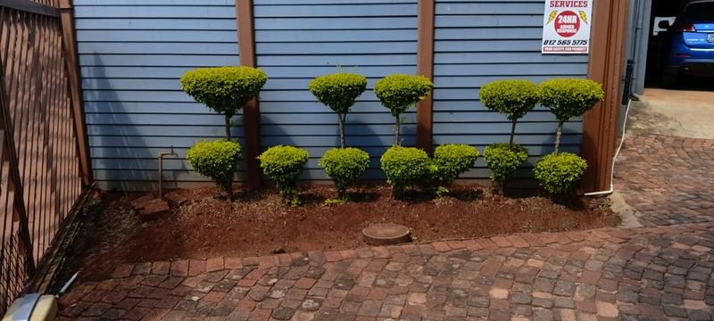 3 Bedroom Property for Sale in Clarina Gauteng